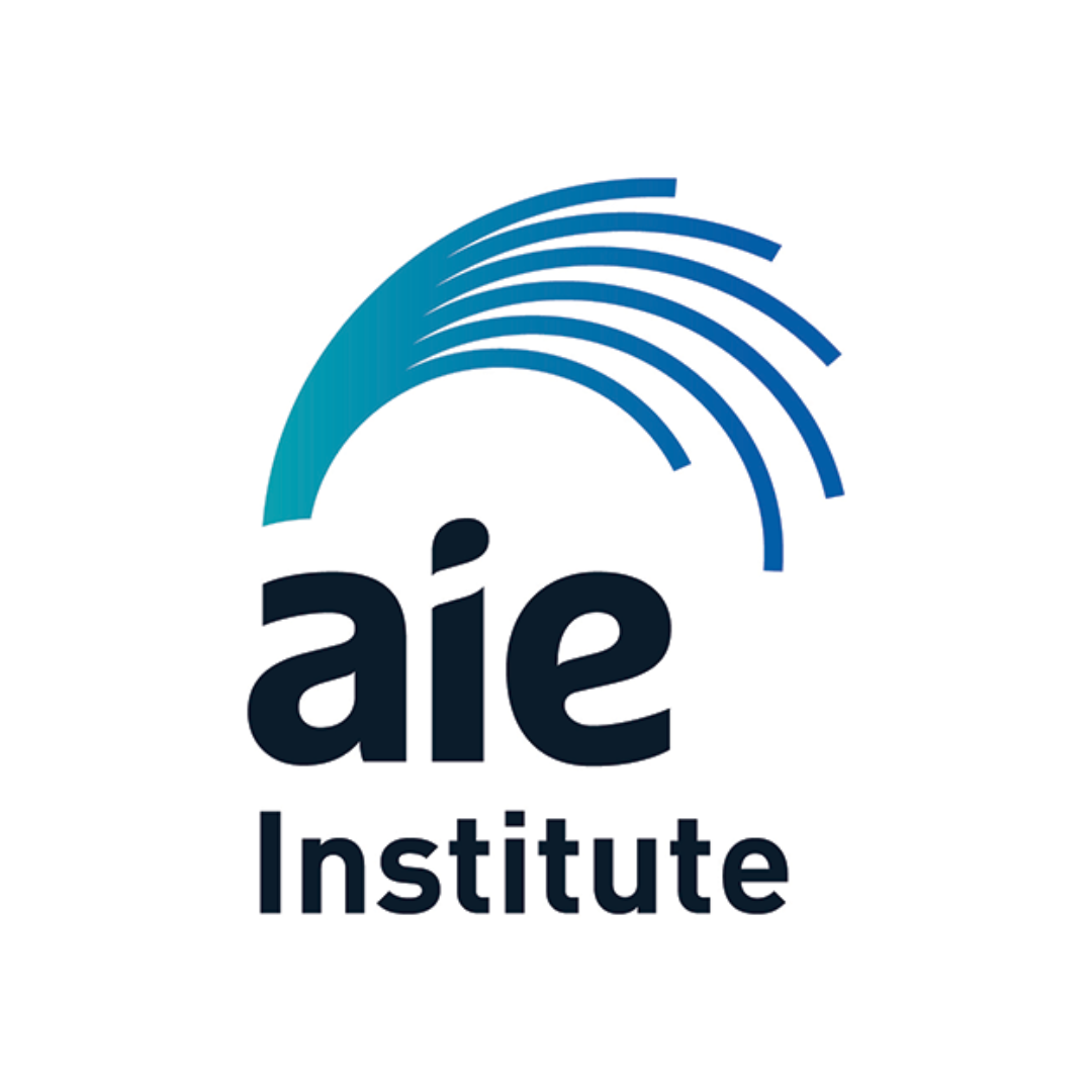 Academy of Interactive Entertainment (AIE)